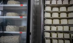 cheese is being packaged in an industrial refrigerator