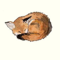 a drawing of a sleeping fox on a white background, with the head turned to the side