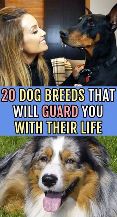 two dogs that are sitting next to each other with the caption 20 dog breeds that will guard you with their life