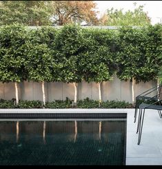 an outdoor pool surrounded by greenery and a small table with two chairs next to it