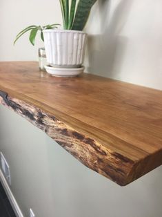 a potted plant sitting on top of a wooden shelf