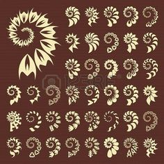 an assortment of different shapes and sizes of flowers on a brown background with white outlines