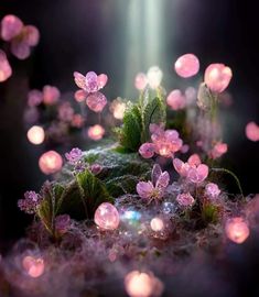 some pink flowers and green leaves on the ground with light coming from behind them at night