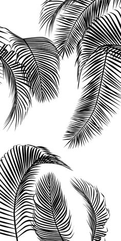 two black and white images of palm leaves on a white background, each with different lines