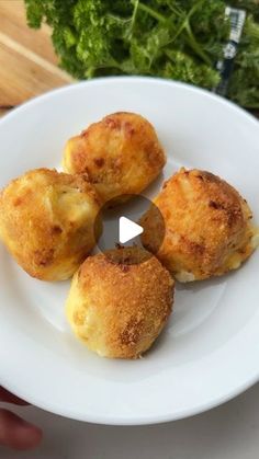 four fried food items on a white plate with parsley in the backgroung