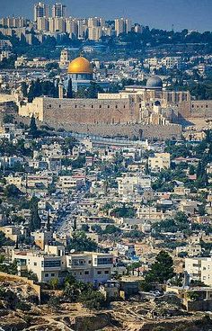 Golden Dome, Terra Santa, Flag Designs, Dome Of The Rock, Beautiful Mosques, Holy Land, Islamic Pictures, Old City, Pride Shirts