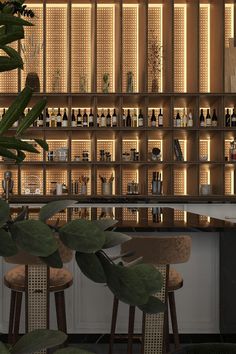 a bar with lots of bottles on the wall and plants growing in front of it