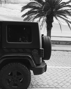 a black and white photo of a jeep parked in front of a palm tree