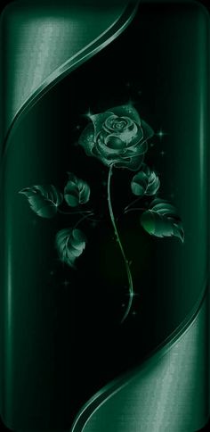 a green rose on a black background with swirls