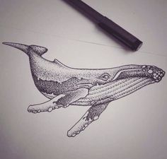 a drawing of a humpback whale on paper with a pen next to it