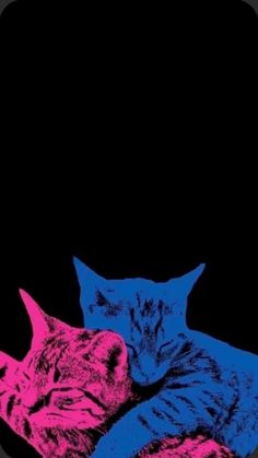 two cats laying next to each other on top of a black background with pink and blue colors