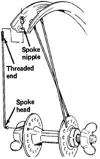 the spokes are labeled in this diagram, and there is no image on it