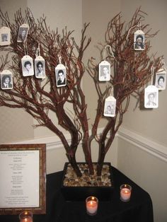 there is a tree with pictures on it and candles in front of the photo frame