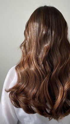 Soft Healthy Hair, Golden Brown Hair, Chestnut Hair, Brown Hair Looks, Hair Color Auburn, Glossy Hair