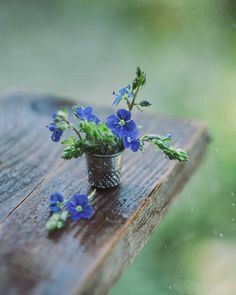 small blue flowers in a silver vase on a wooden table outside during the rain,