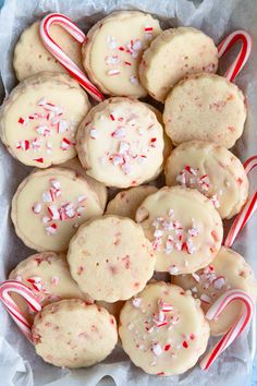 peppermint sugar cookies with candy canes on top