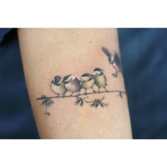 three small birds sitting on a branch tattoo