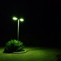 a lamp post lit up in the dark with green grass and shrubbery around it