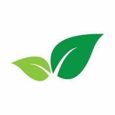 a green leaf logo on a white background