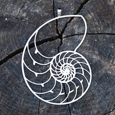 a piece of wood with a white spiral design on it's side, sitting on top of a tree stump