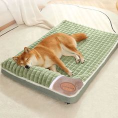 a brown dog laying on top of a green mat with a white pillow next to it