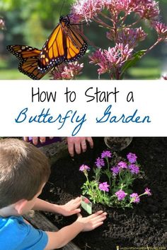 two children are looking at some flowers and butterflies in the garden with text overlay that reads how to start a butterfly garden