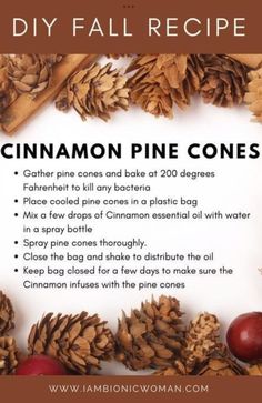 the recipe for cinnamon pine cones is shown