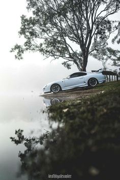 a car parked next to a tree on the side of a lake