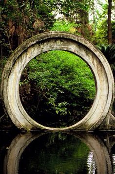 a circular sculpture sitting on top of a body of water in the middle of a forest