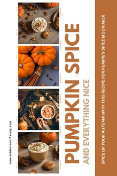 the cover of pumpkin spice and everything in it is white with brown lettering on top