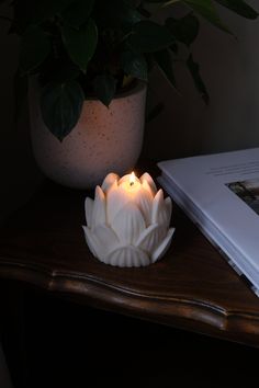 a lit candle sitting on top of a wooden table next to a book and potted plant