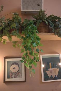 some plants are hanging on the wall above pictures