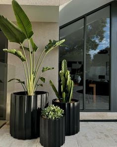 three black planters with green plants in them on the ground next to a building