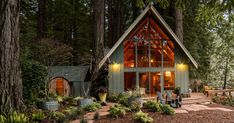 a small cabin nestled in the woods with lots of trees and plants on the ground