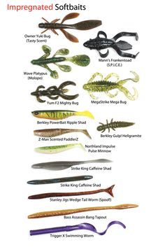 an image of different types of fishing lures and their names on a white background