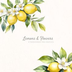 watercolor lemons and flowers with green leaves