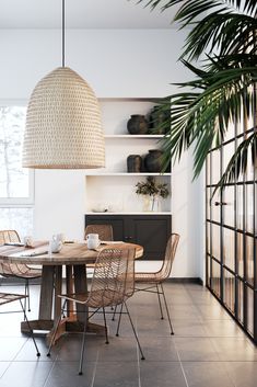 a dining room table with chairs and a potted plant