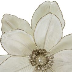 a white flower that is on top of a table