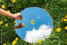 a hand holding a dandelion in front of a mirror with the sky and clouds