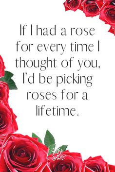 roses with the words if i had a rose for every time i thought of you, i'd be picking roses for a lifetime