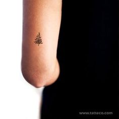 a woman's arm with a small pine tree tattoo on the left side of her arm