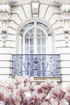 some pink flowers are in front of a white building with an iron balcony and window