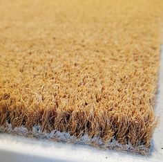 an area rug that has been placed on the ground with no grass or dirt around it