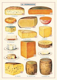 a poster with different types of cheeses and other foods on it's sides