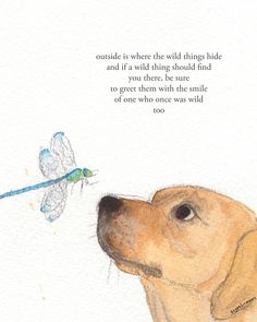 a drawing of a dog looking at a dragonfly on the back of it's head