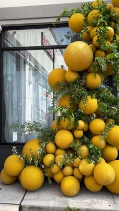 a bunch of lemons are growing on the outside of a store front window,