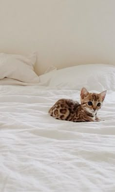 a cat laying on top of a white bed