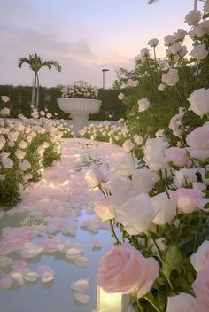 white roses are blooming in the water near a fountain and palm trees at sunset