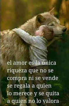 a baby hugging a wolf in the woods with a quote from antonio marquez