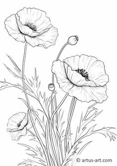 Poppy Artwork, Designing A Garden, Garden From Scratch, Poppies Art, Creative Garden Decor, Poppy Drawing